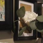 节能玻璃有六大类