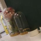 家居涂料的用量怎么衡量