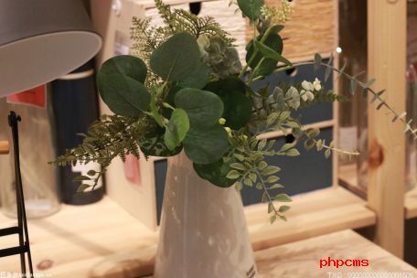 你会选购儿童安全插座吗?