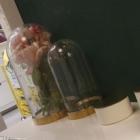 生活花园装修的设计要点 值得收藏