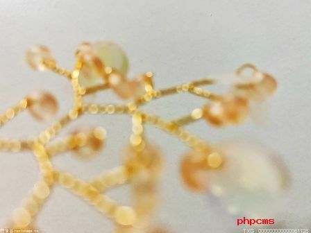 妈妈经常看金银首饰清洗妙招，那些方法真的靠谱吗?