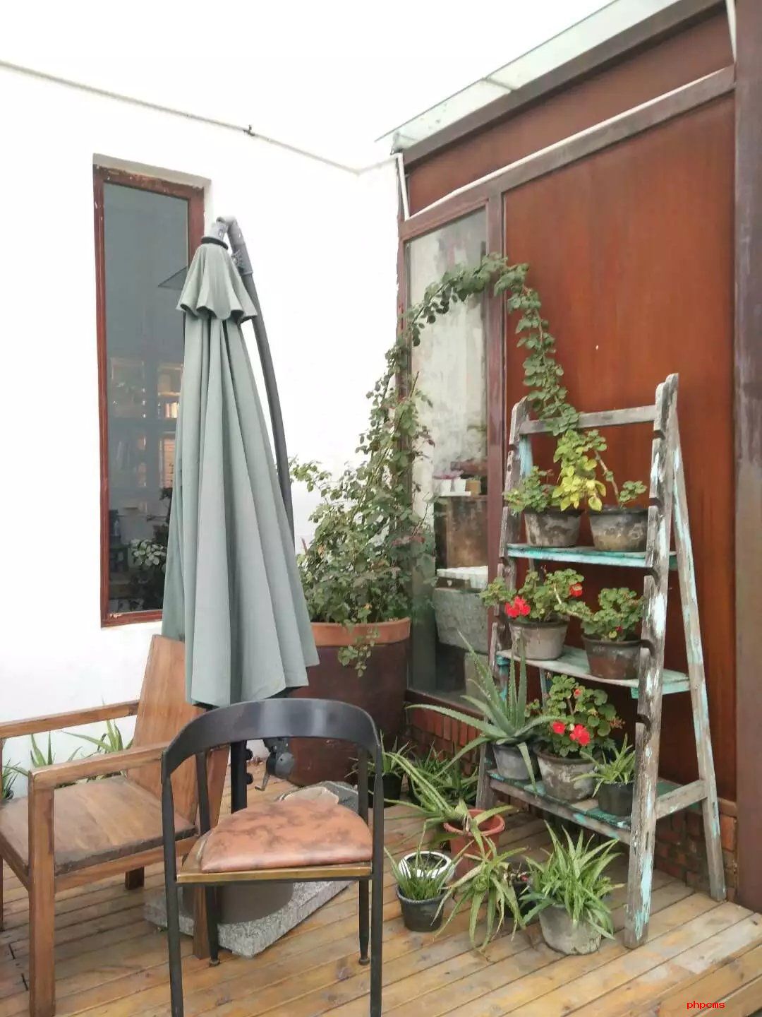 薄荷冬天怎么养？四个技巧让薄荷也更耐寒