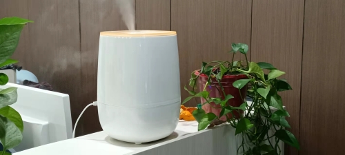 加湿器你用对了吗？加湿器的水应该怎么选？