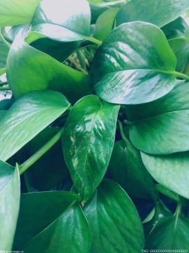 停暖前要关掉暖气吗？停暖气前应该关闭哪些开关？