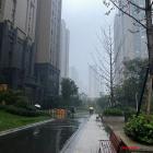 北师大教授董藩：不买房 一直租房的人才是真正的房奴！