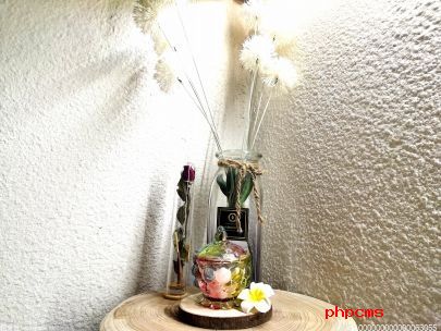 客厅盆栽怎么选？四大客厅盆栽风水禁忌